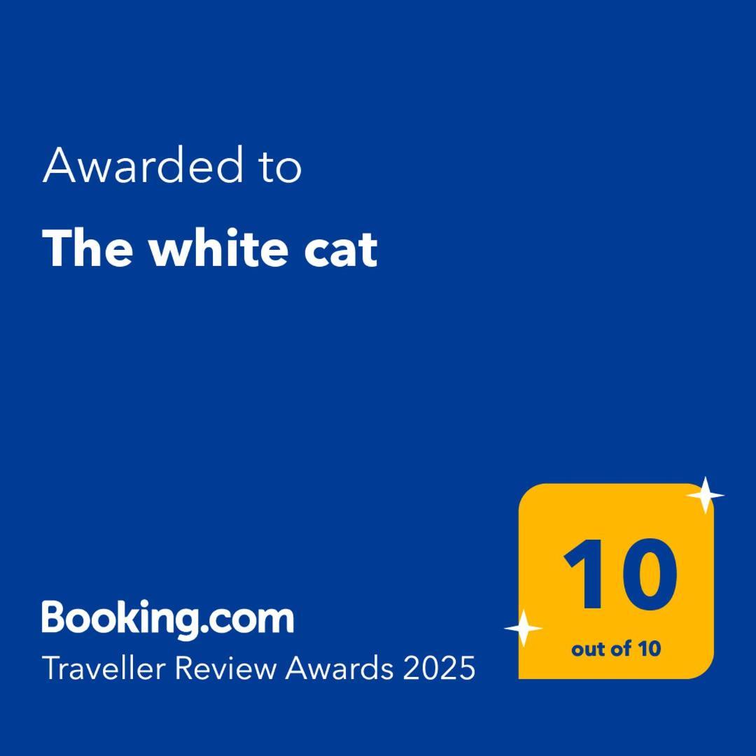 Vakantiehuis The White Cat *