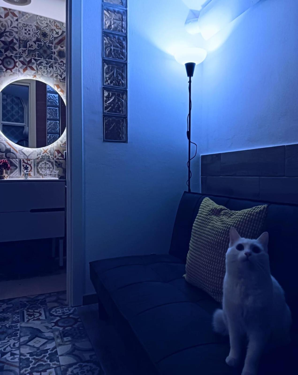 Holiday home The White Cat Naples